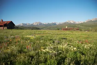 A wildflower meadow outside Silverthorne below the snowy peaks of the Gore Range
